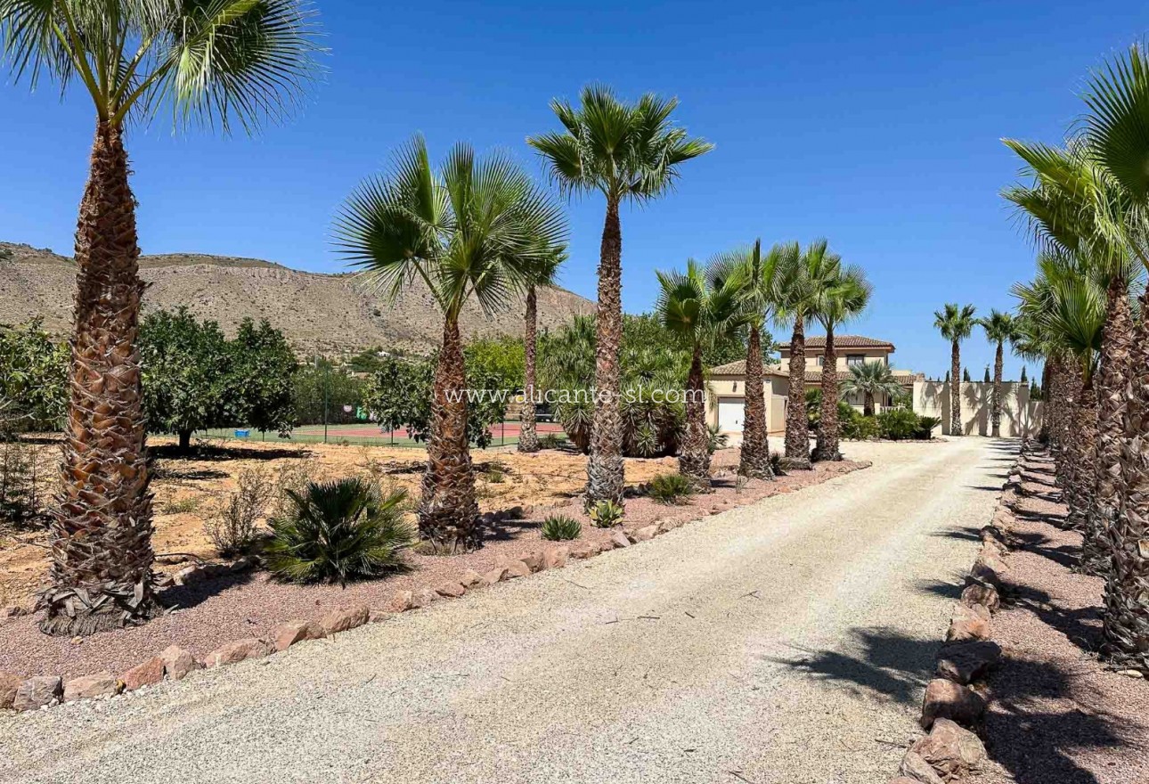 Sale - Villa  - Hondón de las Nieves