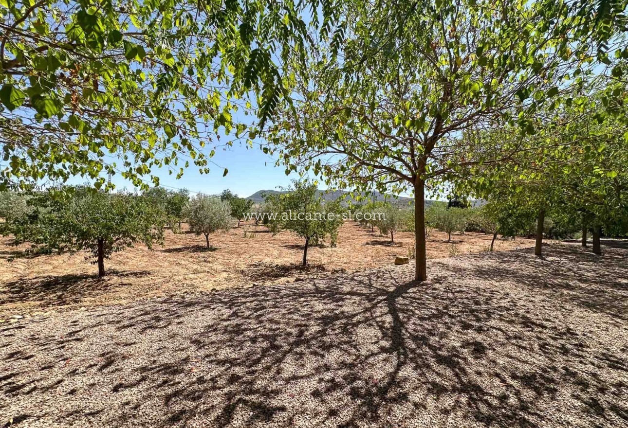 Sale - Villa  - Hondón de las Nieves