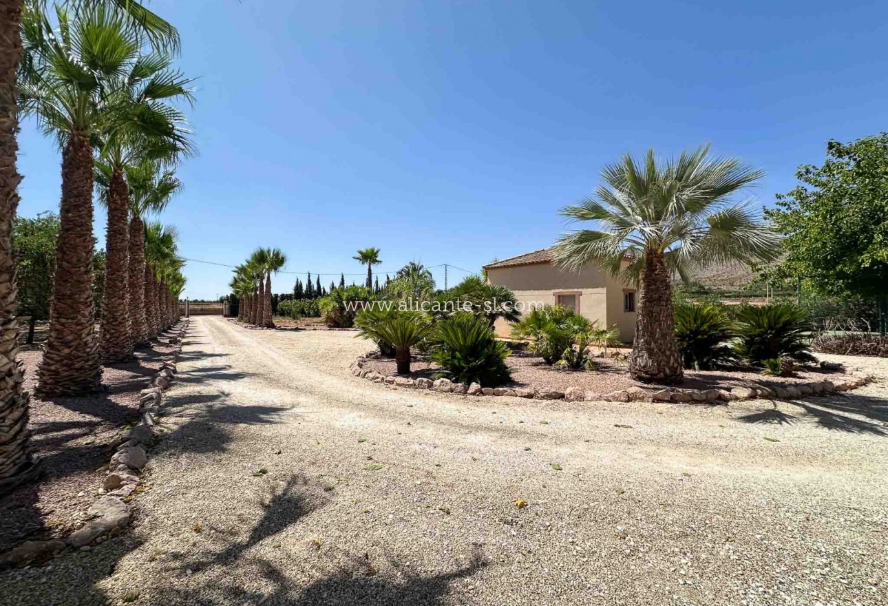 Sale - Villa  - Hondón de las Nieves