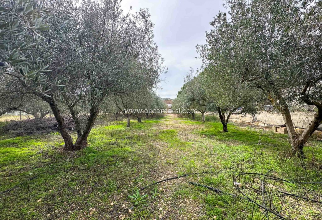 Sale - Villa  - Hondón de las Nieves