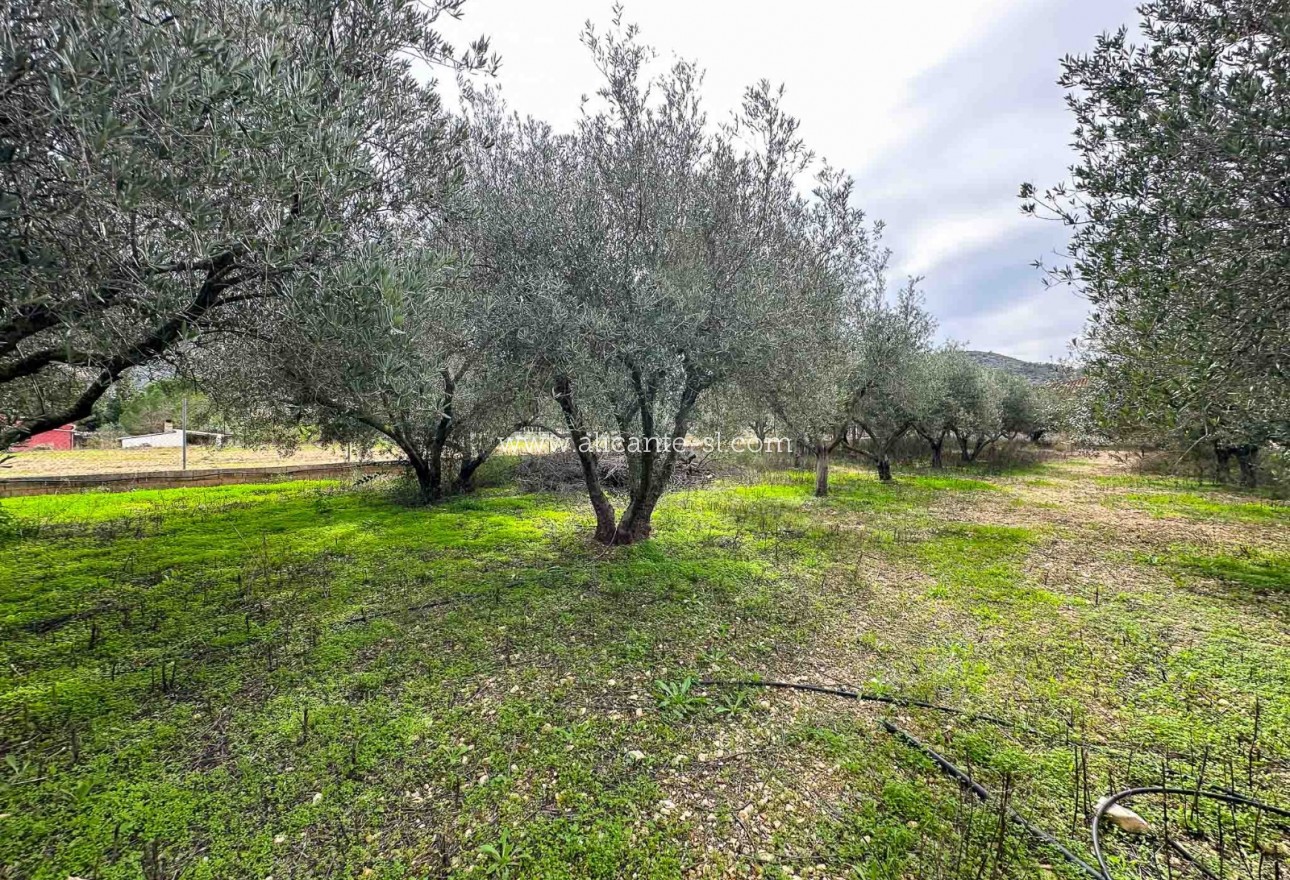 Sale - Villa  - Hondón de las Nieves