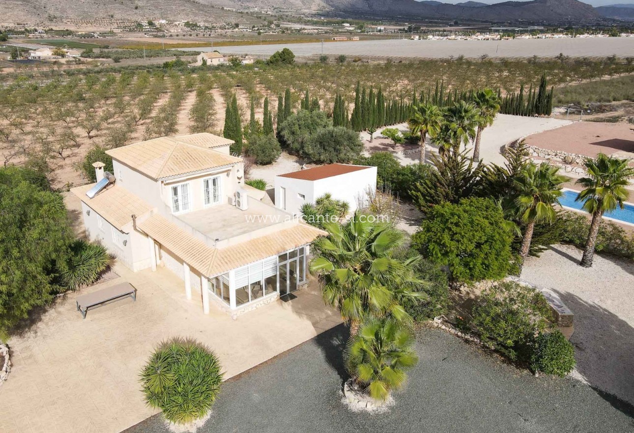 Sale - Villa  - Hondón de las Nieves