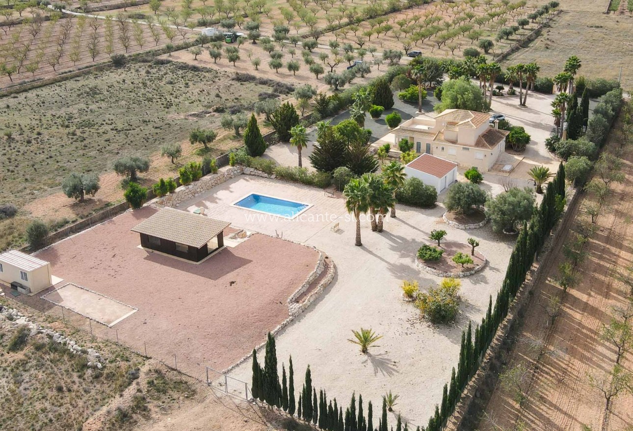 Sale - Villa  - Hondón de las Nieves