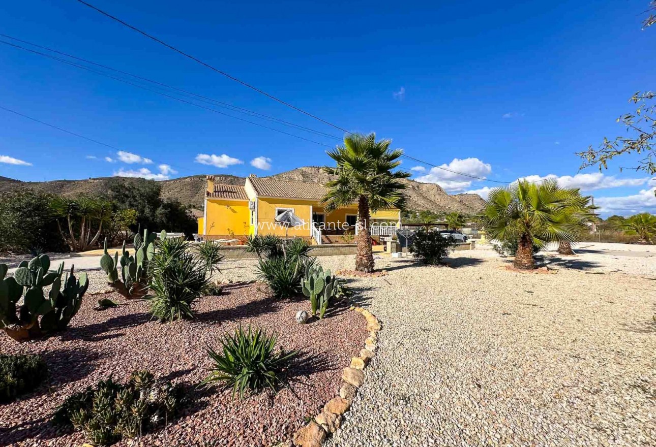 Sale - Villa  - Hondón de las Nieves