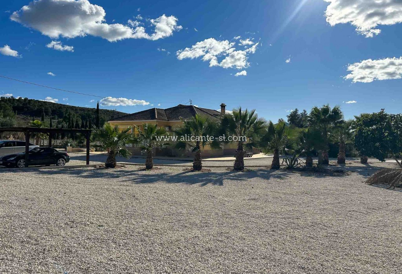 Sale - Villa  - Hondón de las Nieves