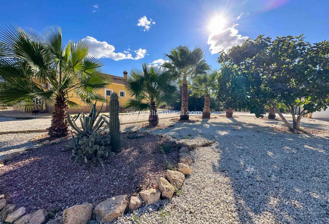 Sale - Villa  - Hondón de las Nieves