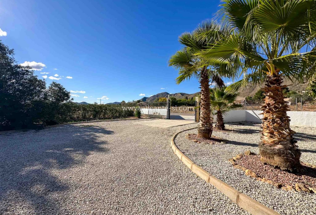 Sale - Villa  - Hondón de las Nieves