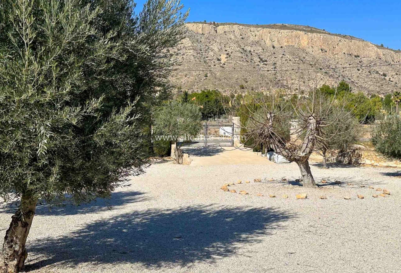 Sale - Villa  - Hondón de las Nieves