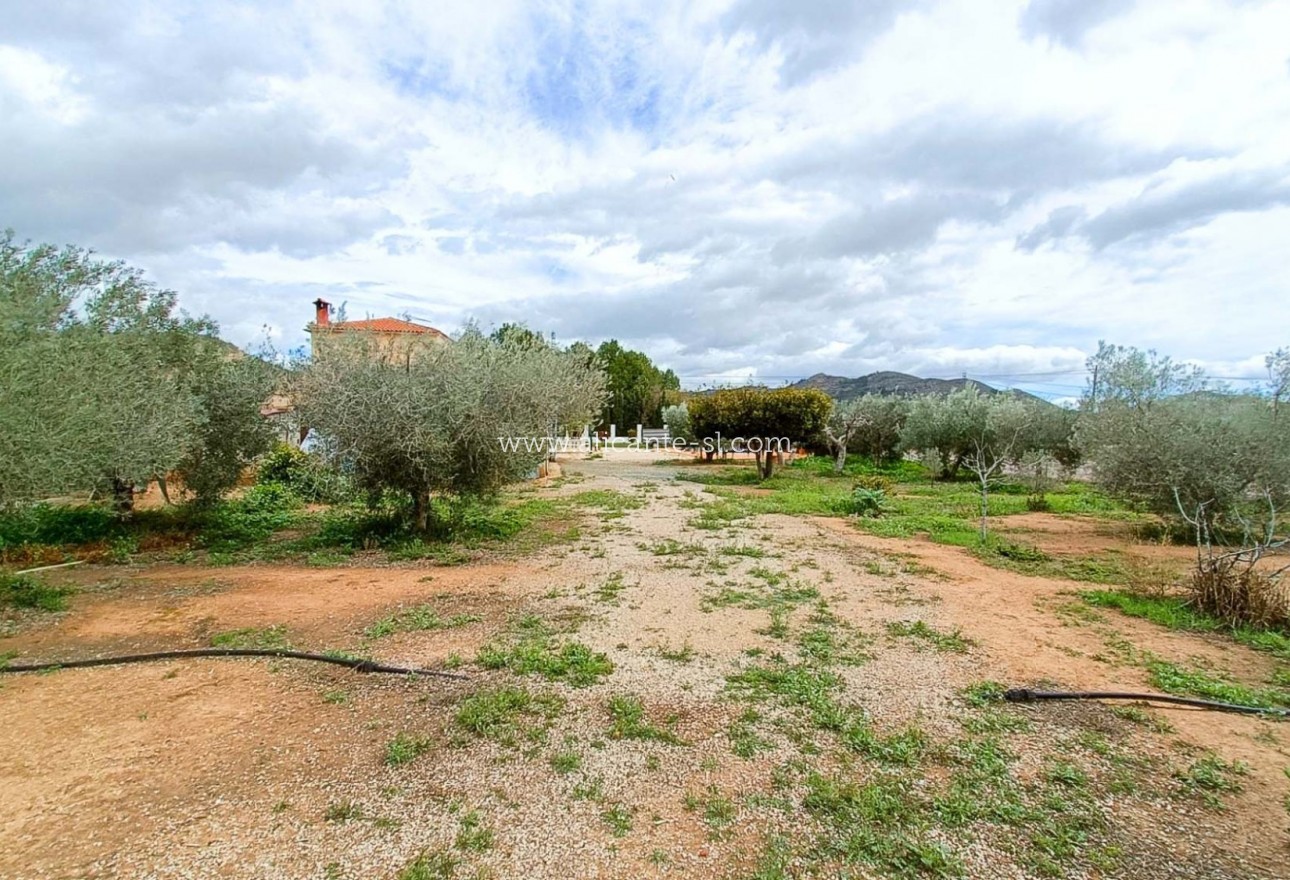 Sale - Villa  - Hondón de las Nieves