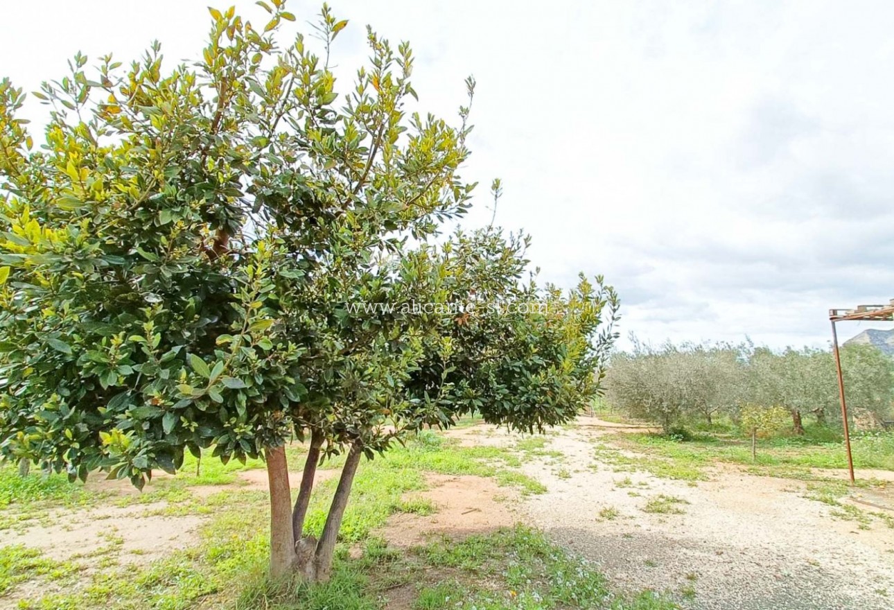 Sale - Villa  - Hondón de las Nieves