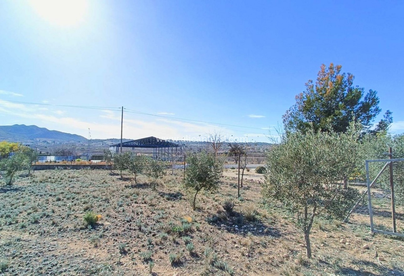 Sale - Villa  - Hondón de los Fráiles