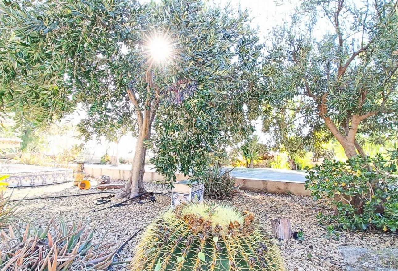 Sale - Villa  - La Romana