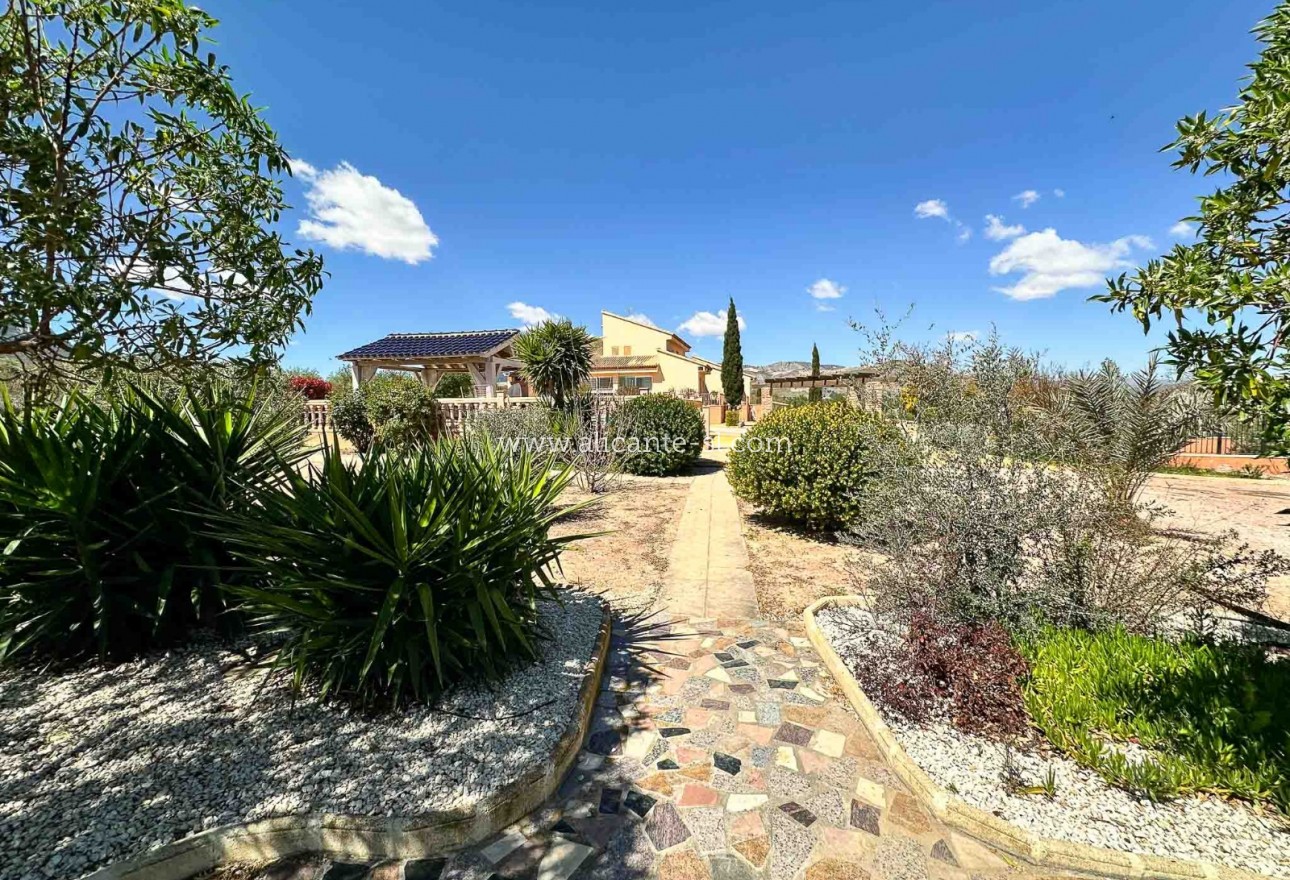 Sale - Villa  - La Romana