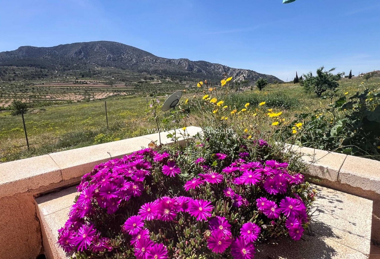 Sale - Villa  - La Romana