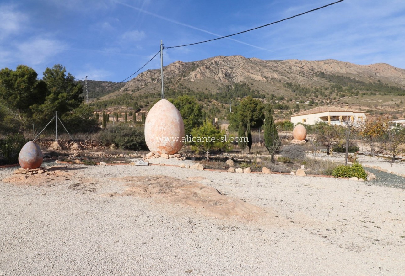 Sale - Villa  - La Romana