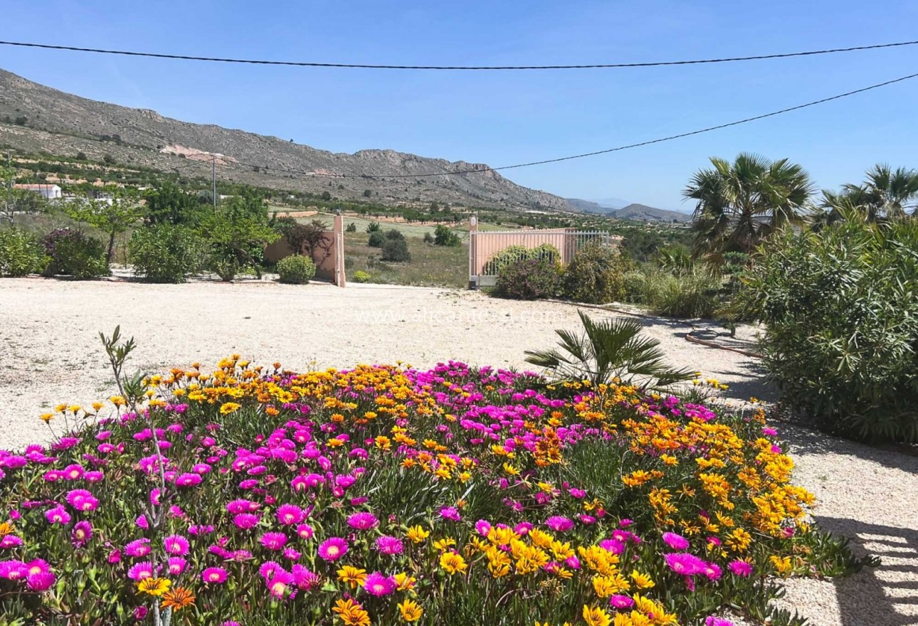 Sale - Villa  - La Romana