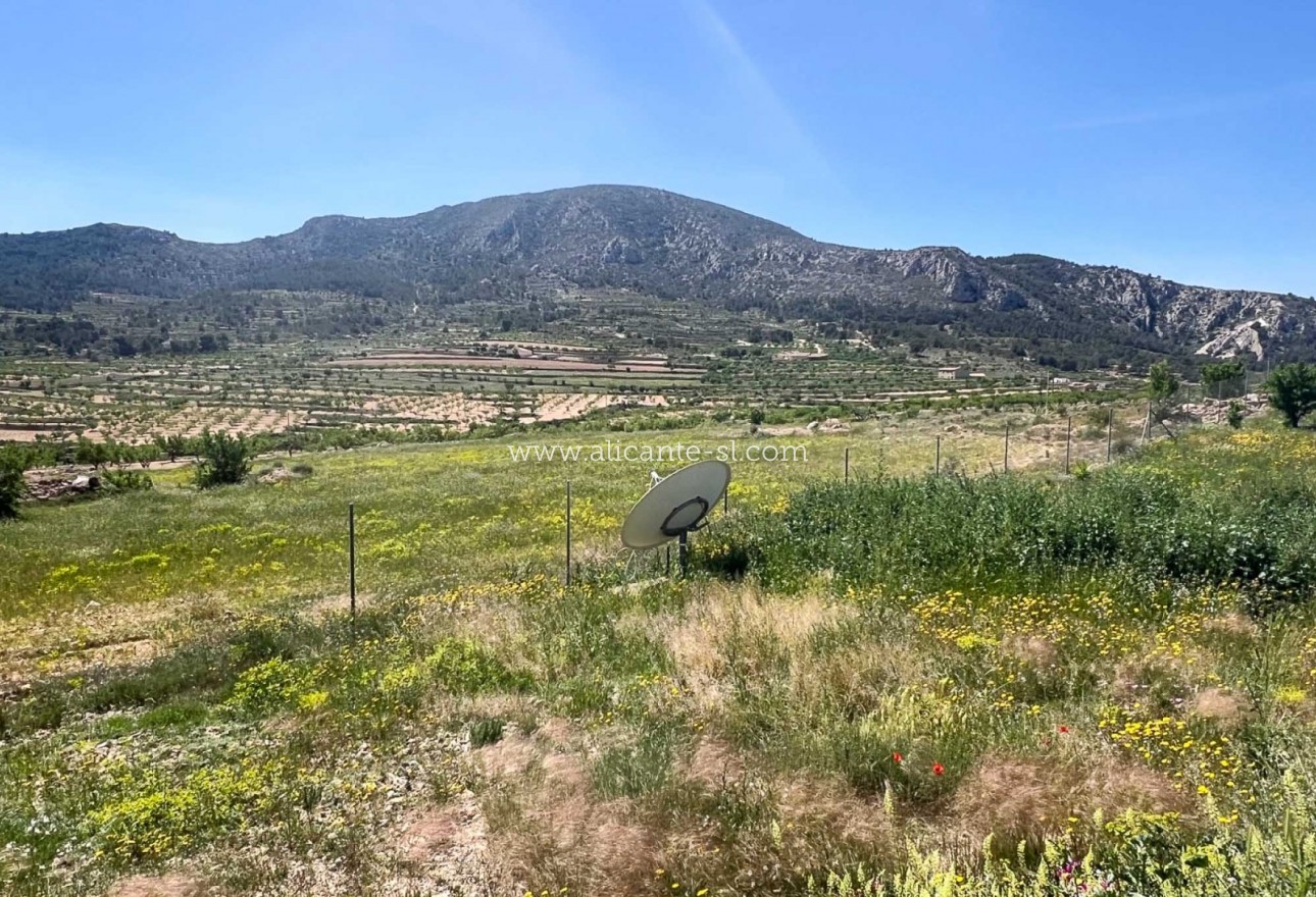 Sale - Villa  - La Romana