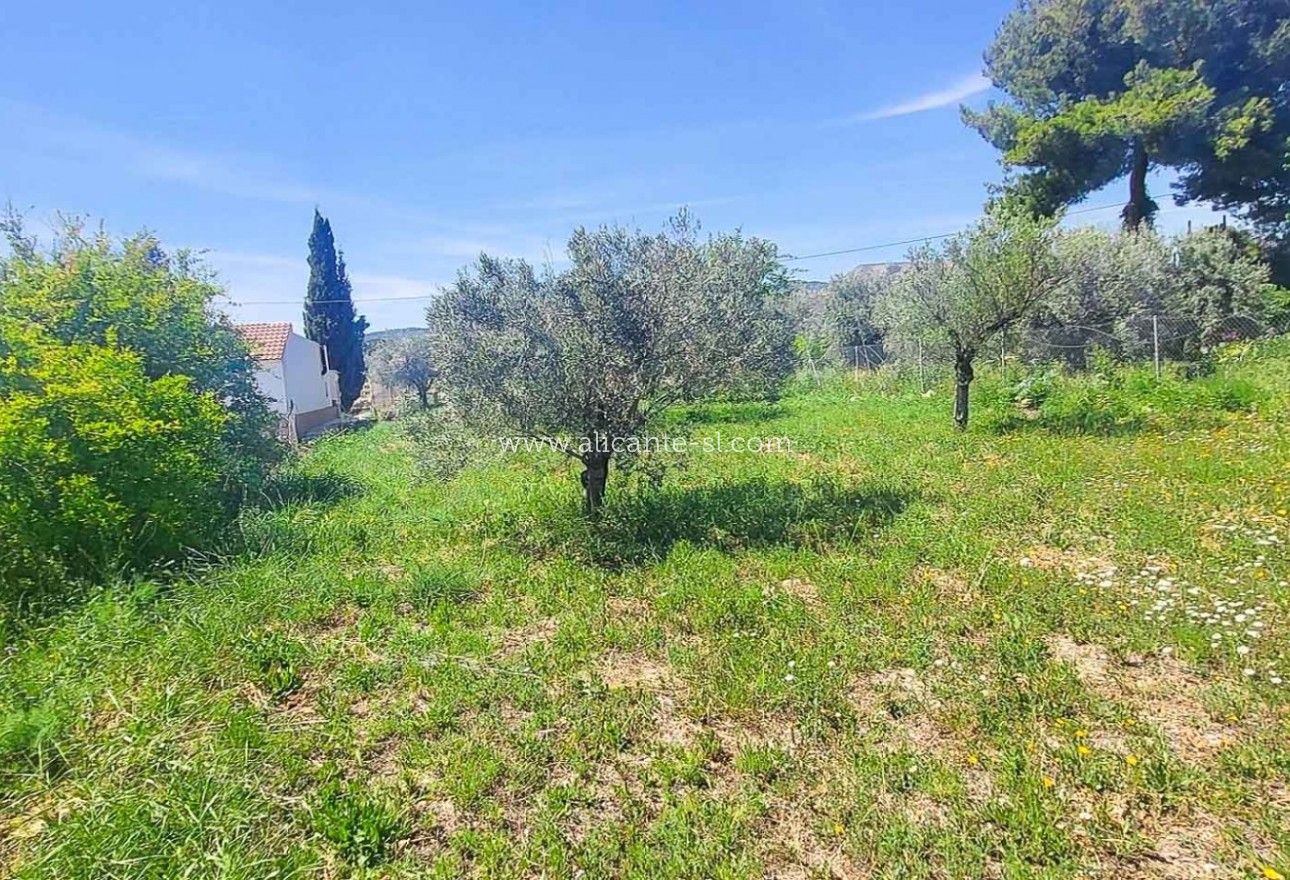 Sale - Villa  - La Romana