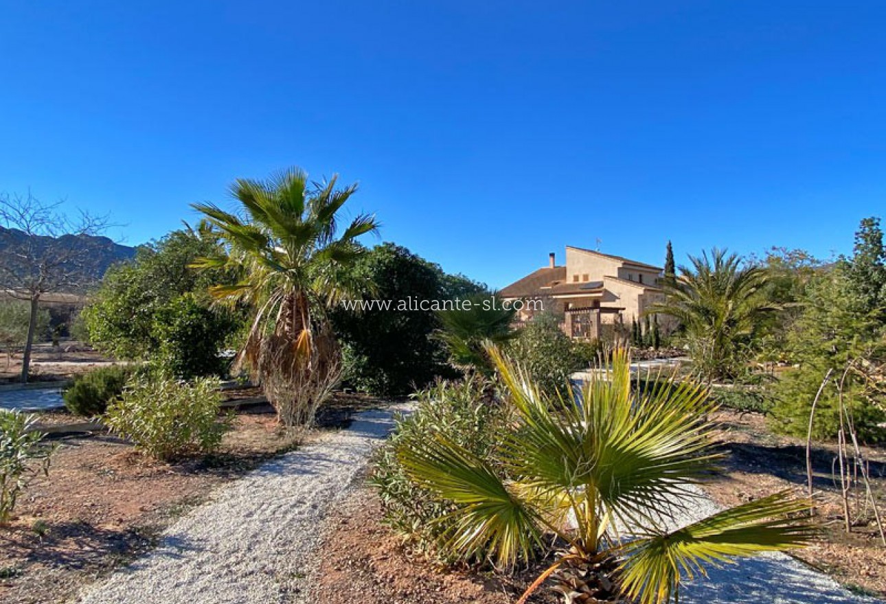 Sale - Villa  - La Romana