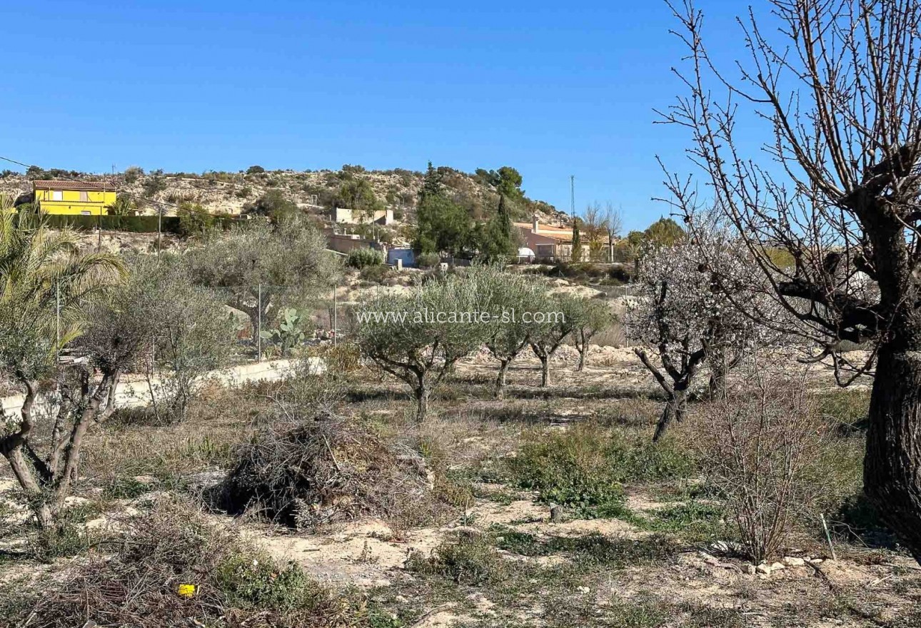 Sale - Villa  - La Romana