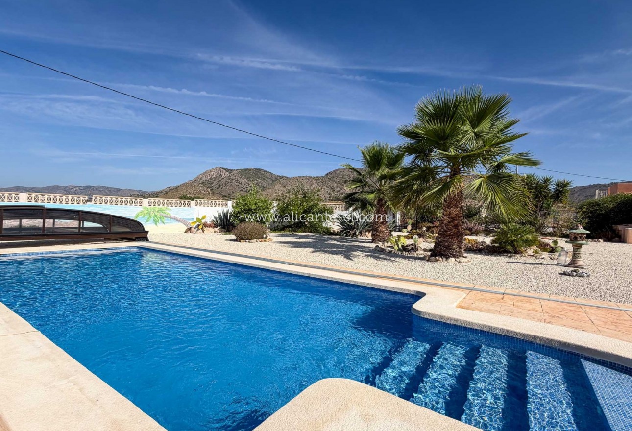 Sale - Villa  - Macisvenda