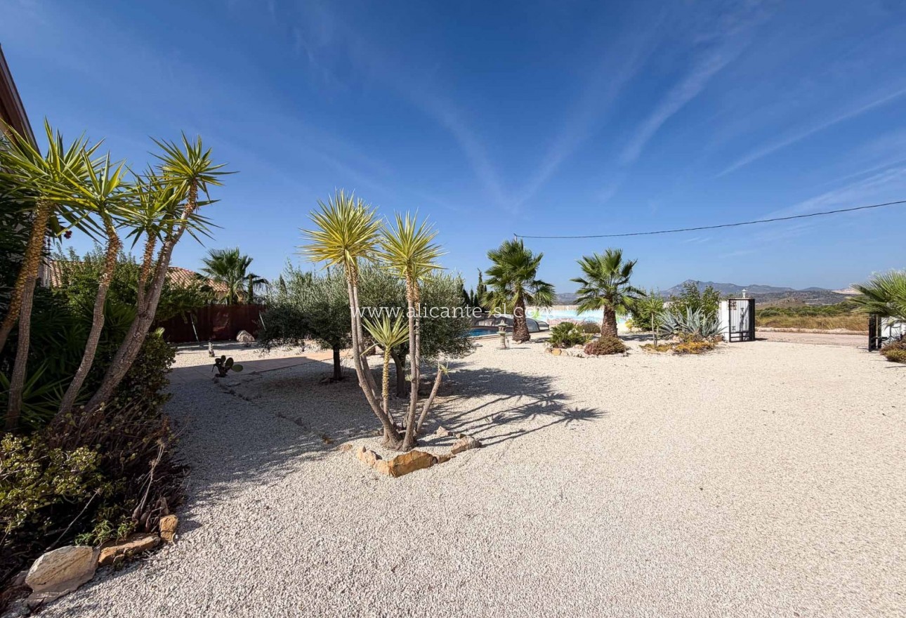 Sale - Villa  - Macisvenda