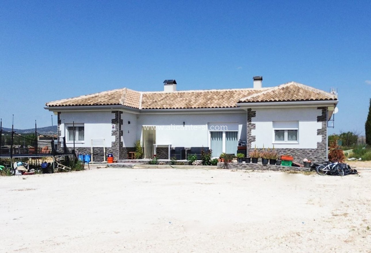 Sale - Villa  - Pinoso