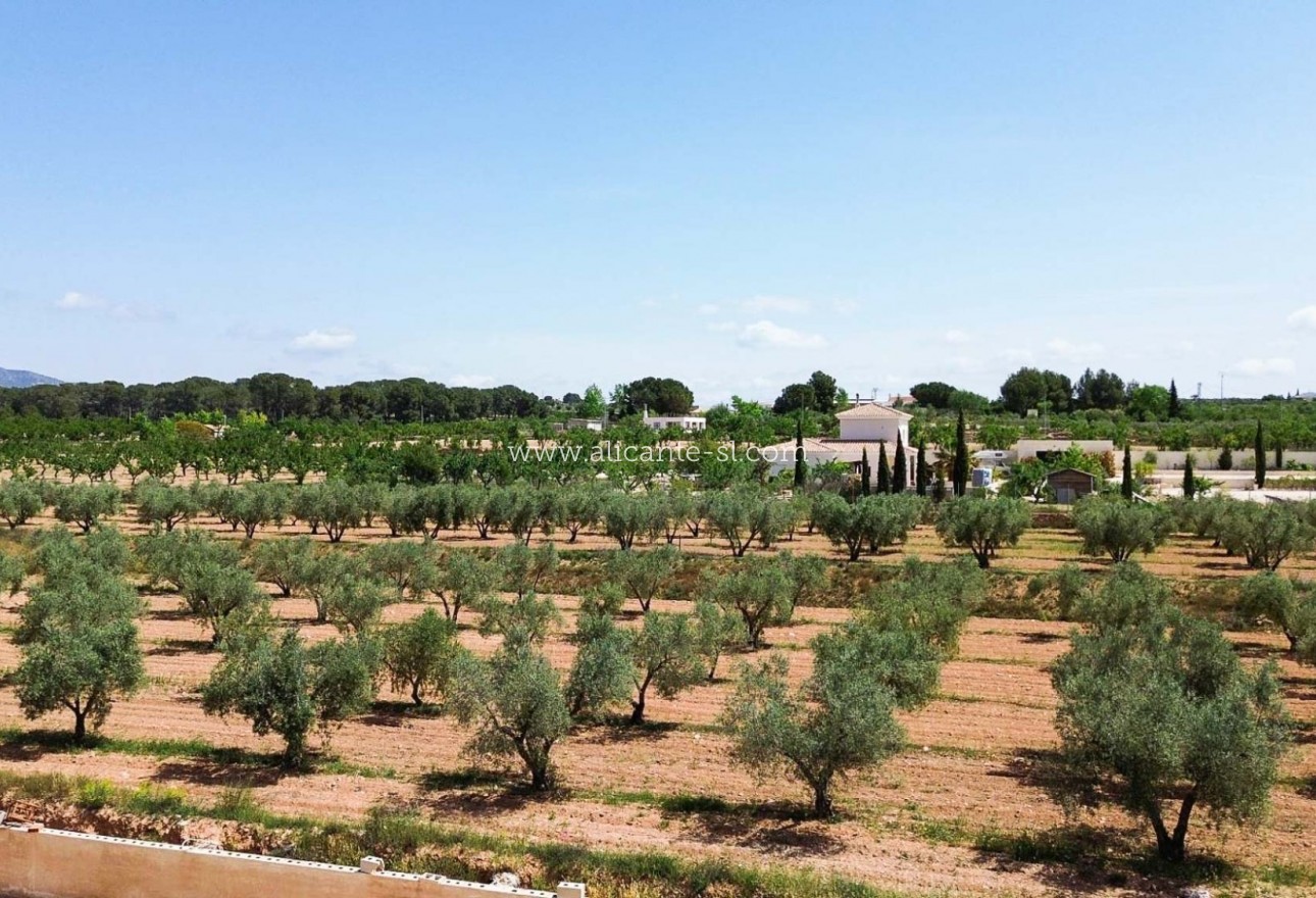 Sale - Villa  - Pinoso