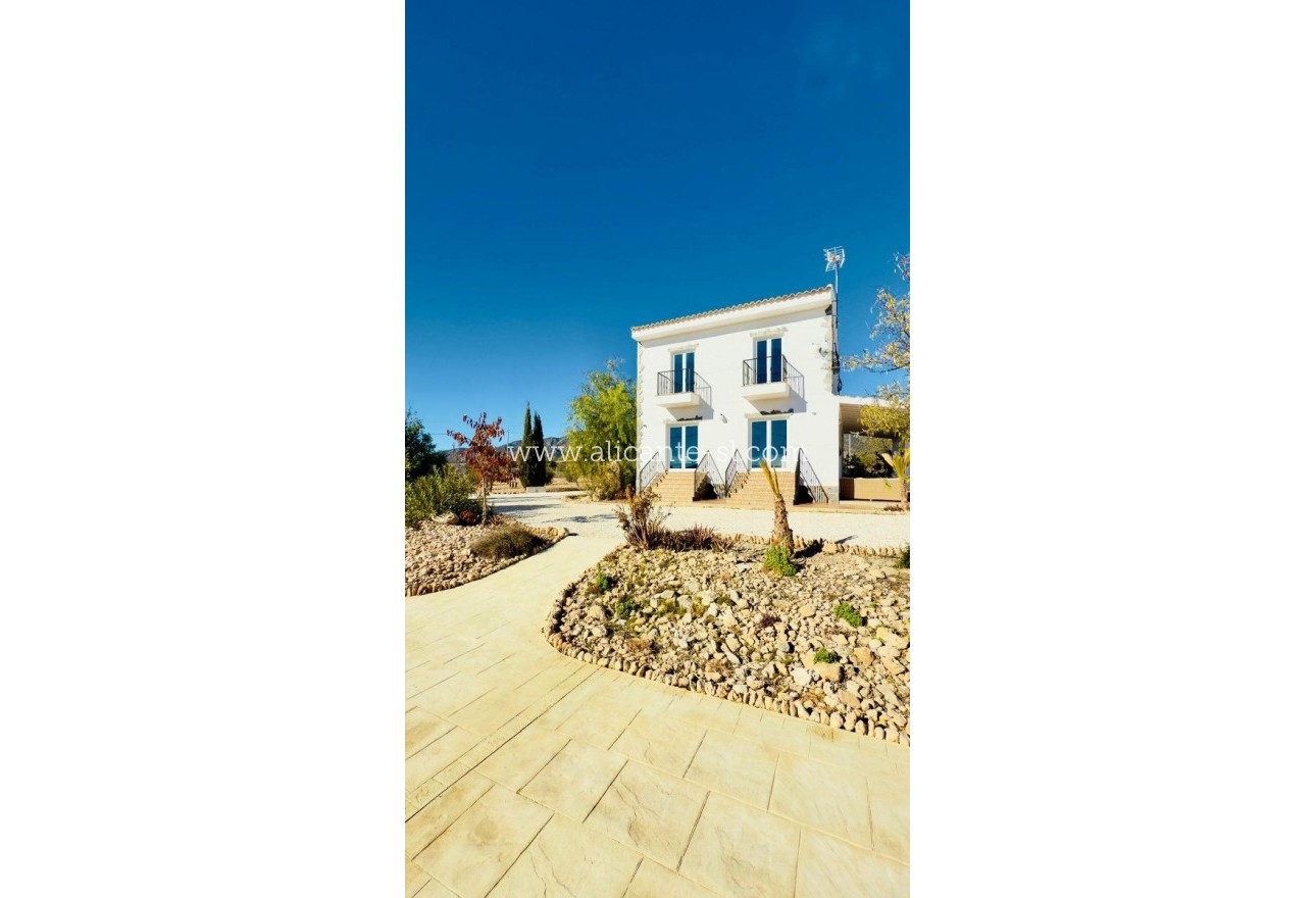 Venta - Casa de Campo - Pinoso