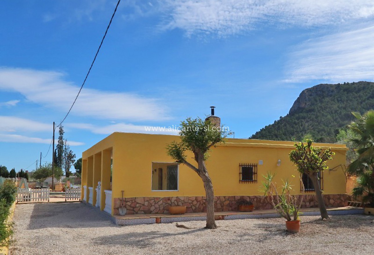 Venta - Finca - Aspe