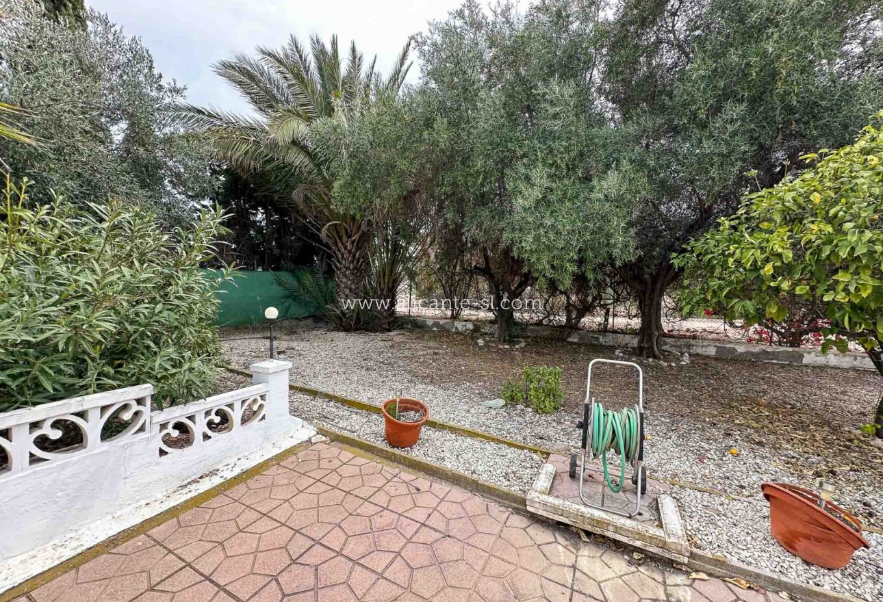 Venta - Finca - Aspe