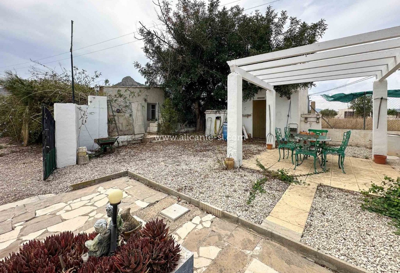 Venta - Finca - Aspe