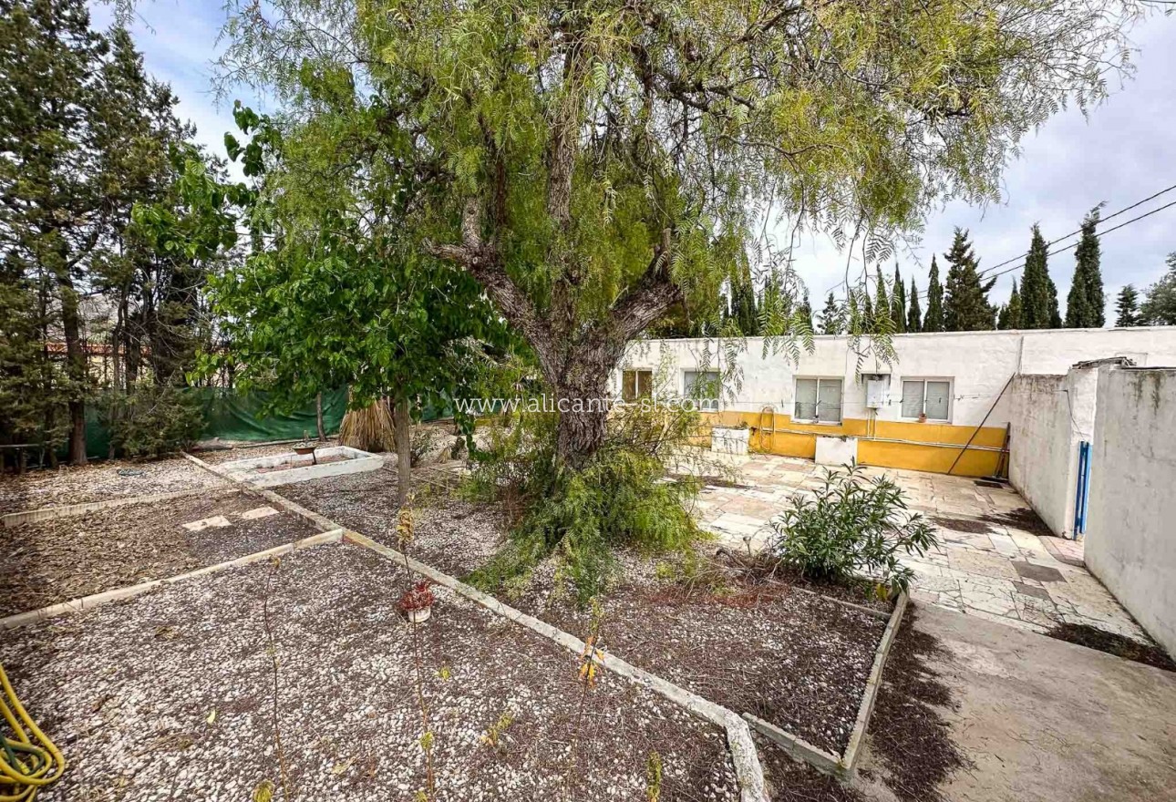 Venta - Finca - Aspe