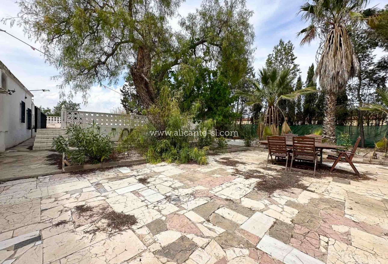 Venta - Finca - Aspe