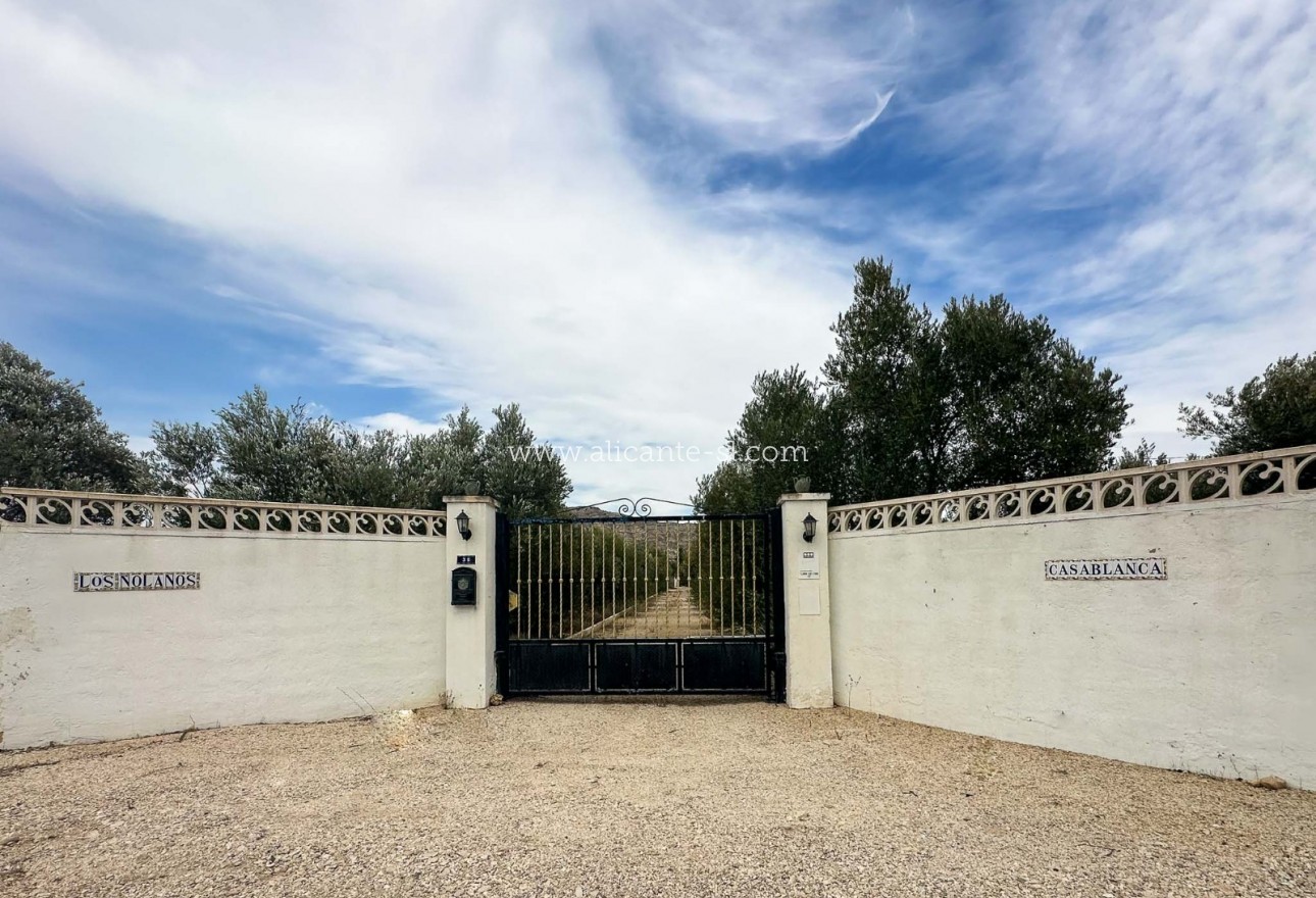 Venta - Finca - Aspe