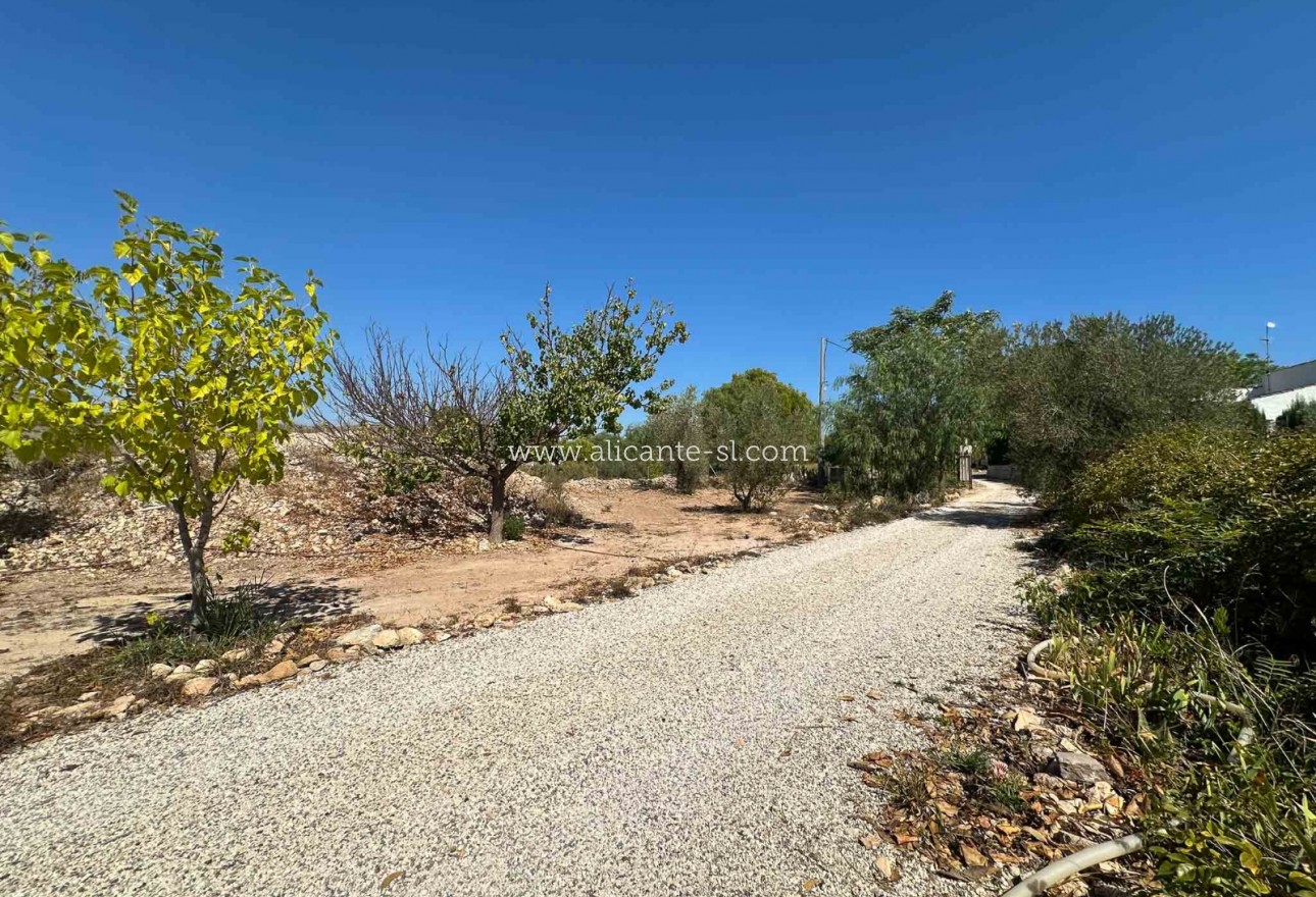 Venta - Finca - Hondón de las Nieves