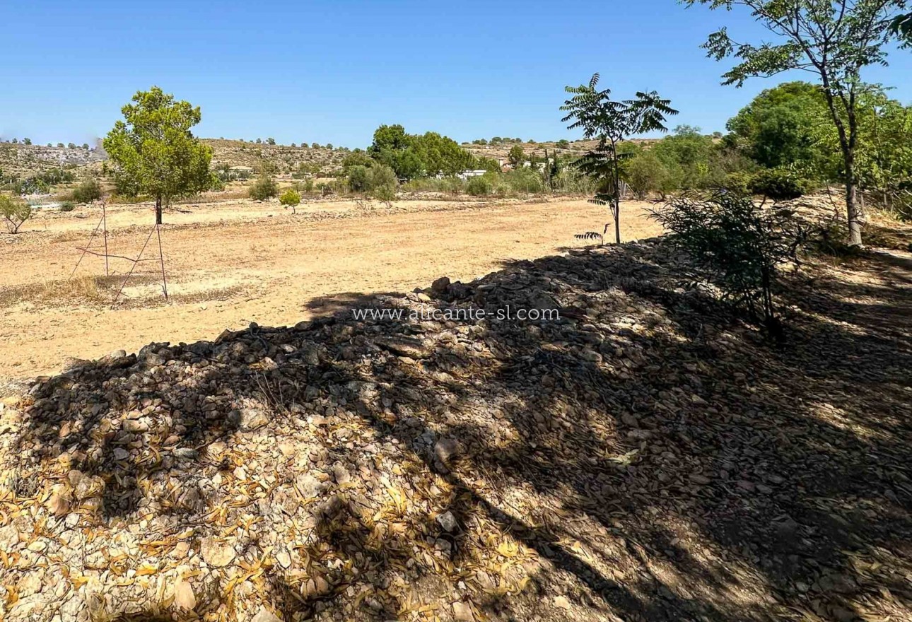 Venta - Finca - Hondón de las Nieves