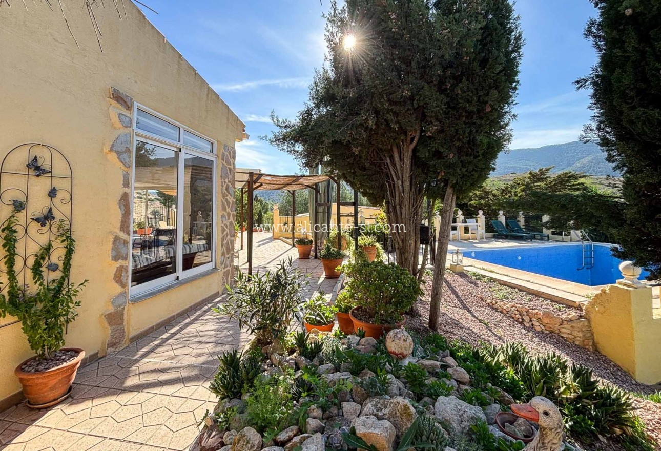 Venta - Finca - Hondón de las Nieves