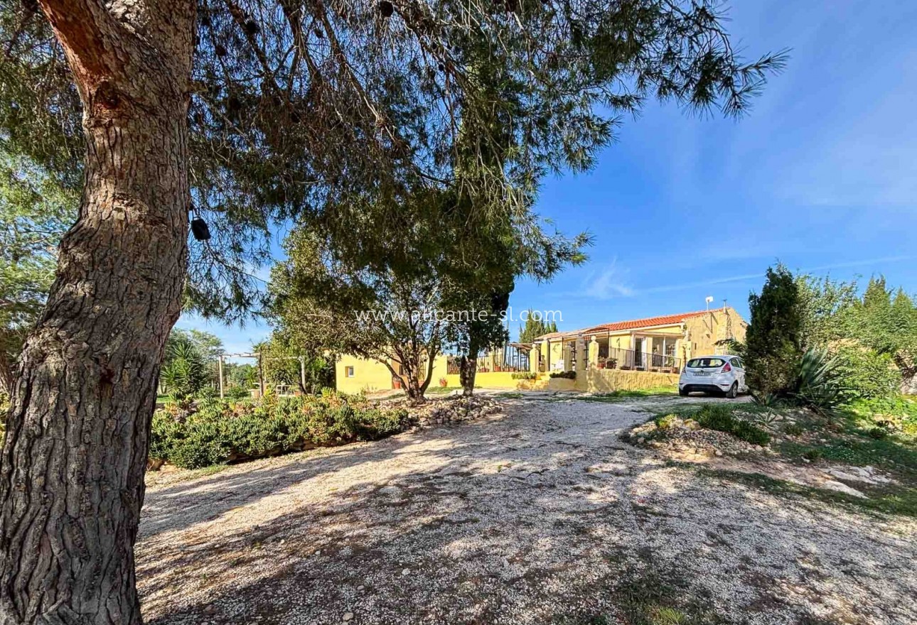 Venta - Finca - Hondón de las Nieves