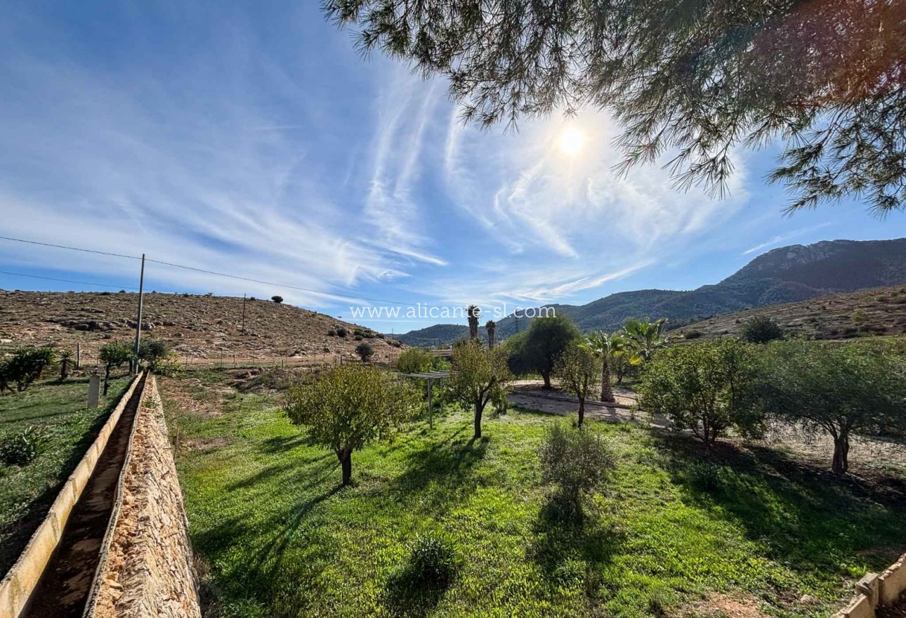 Venta - Finca - Hondón de las Nieves
