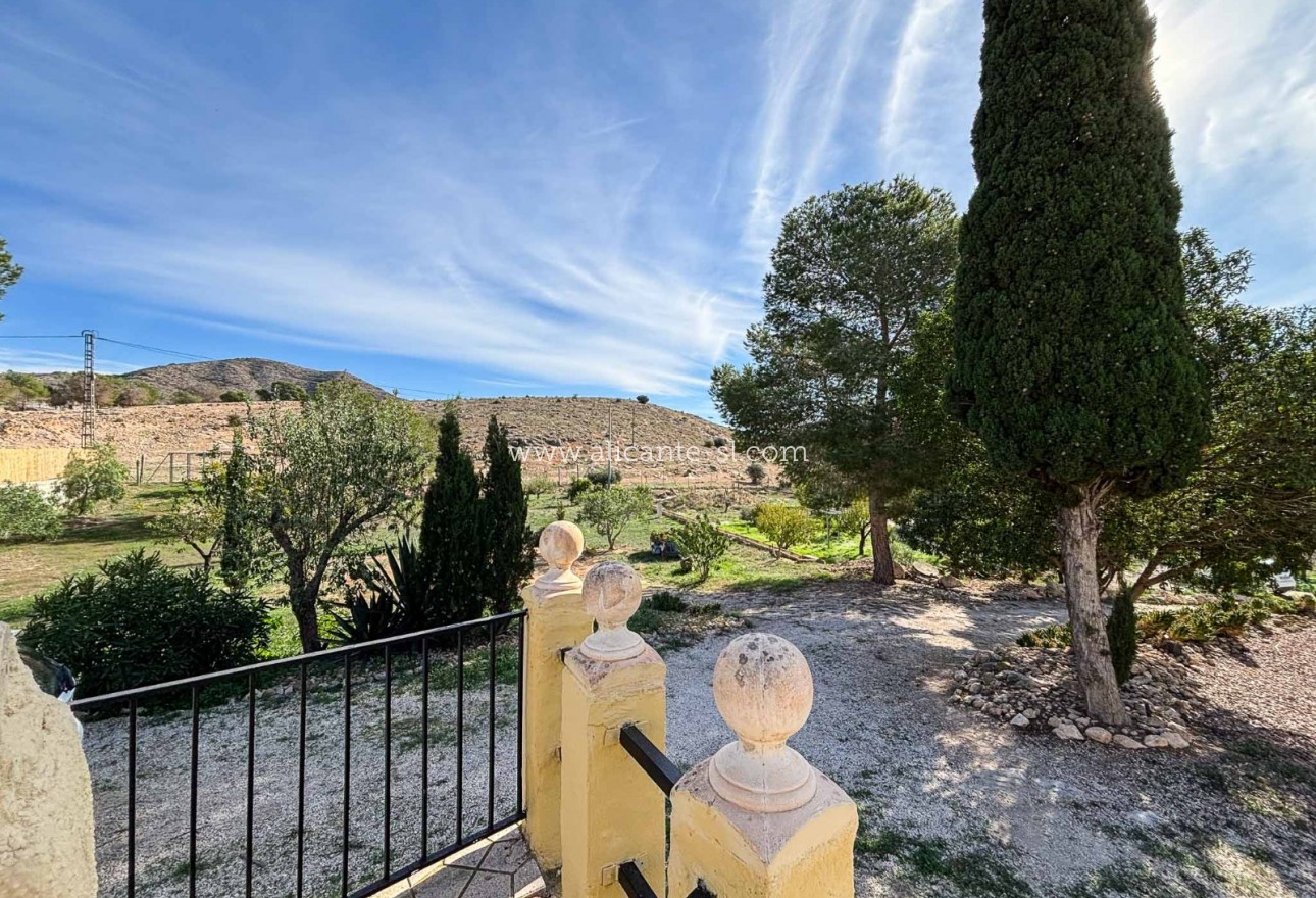 Venta - Finca - Hondón de las Nieves