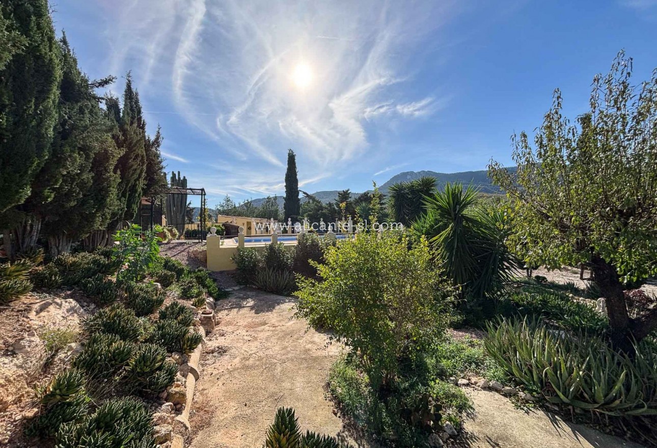 Venta - Finca - Hondón de las Nieves