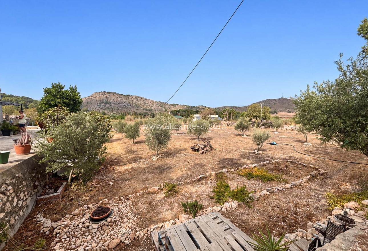 Venta - Finca - Hondón de las Nieves