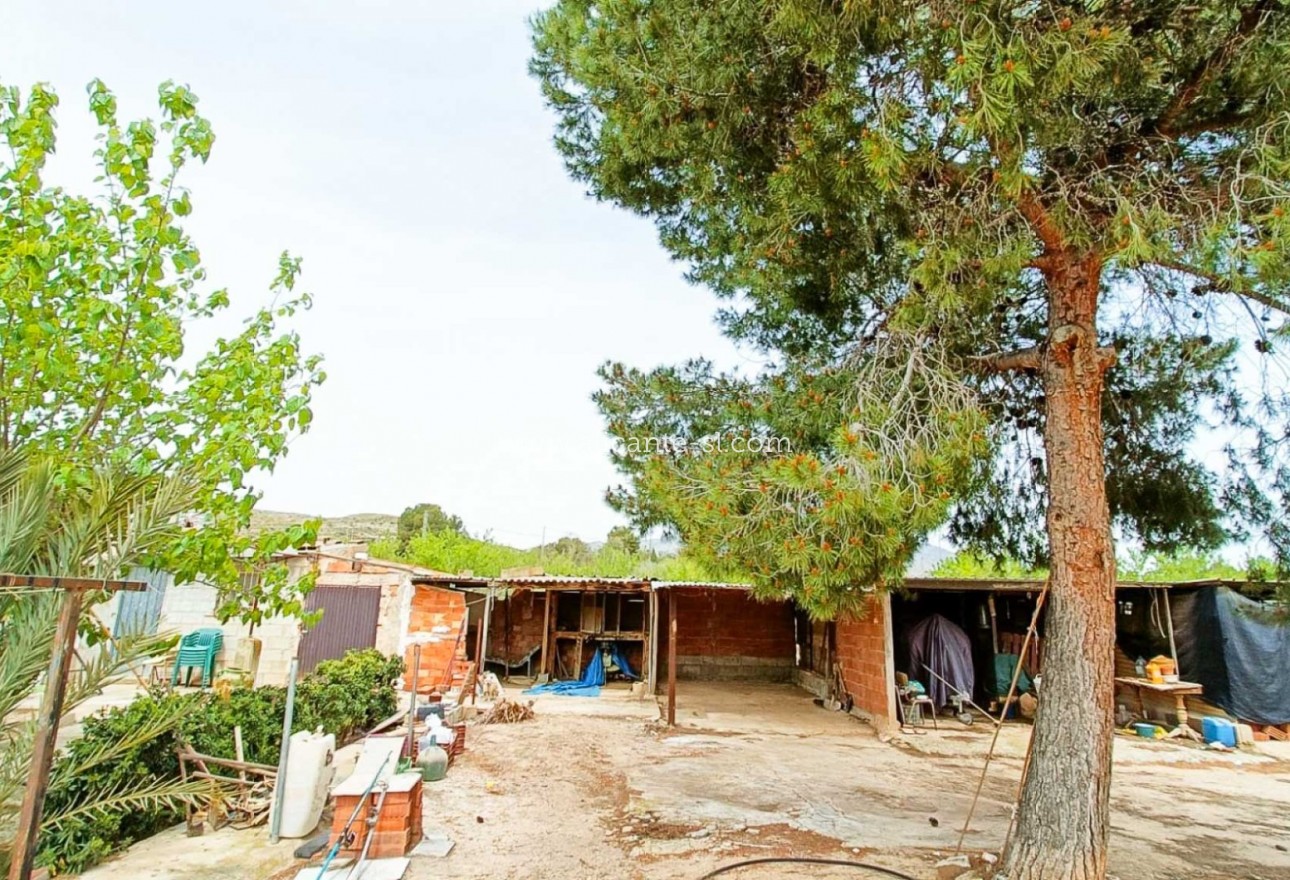 Venta - Finca - Hondón de los Fráiles