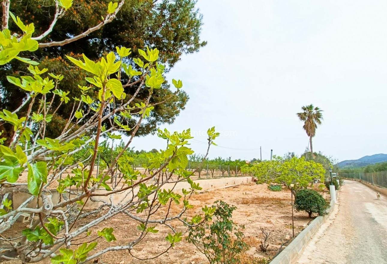 Venta - Finca - Hondón de los Fráiles