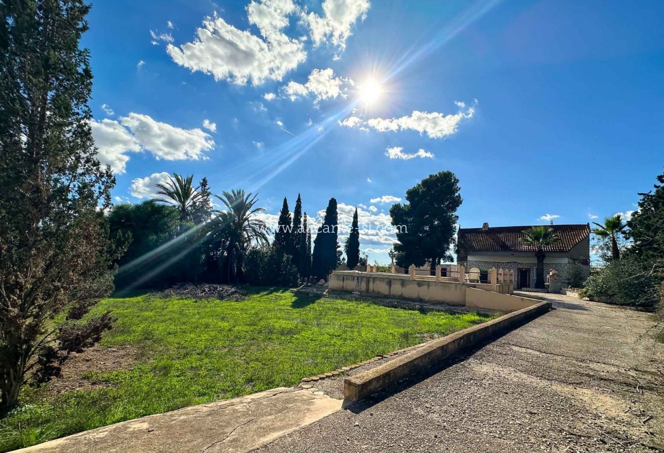 Venta - Finca - Monforte del Cid