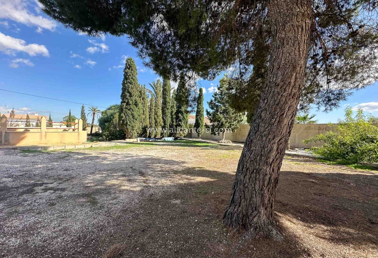 Venta - Finca - Monforte del Cid