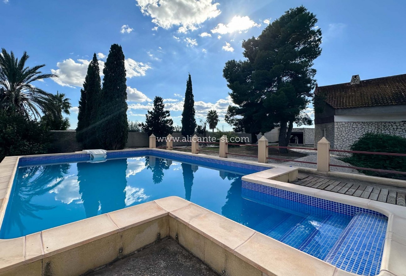 Venta - Finca - Monforte del Cid