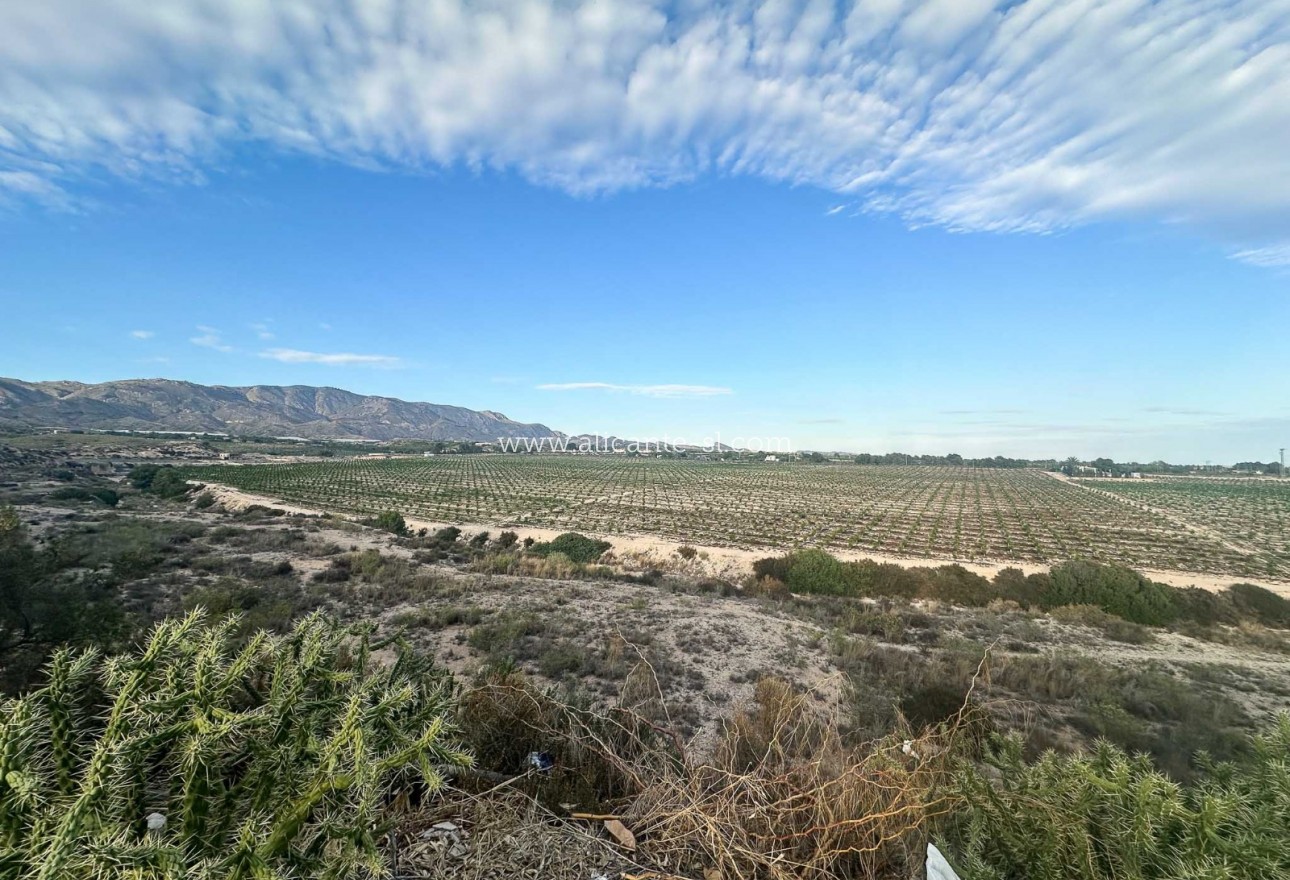 Venta - Villa  - Albatera