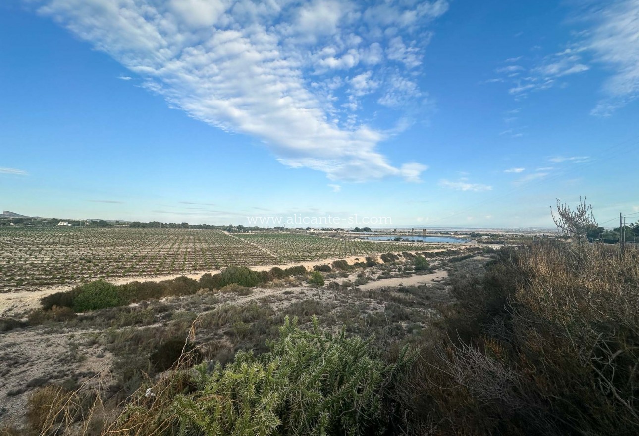 Venta - Villa  - Albatera